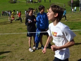 CortaMato08