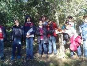 Montachique01