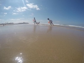 dunas08
