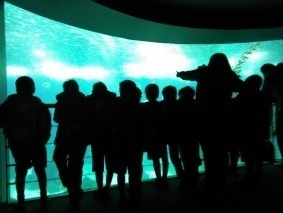 IMG_20170123_110125