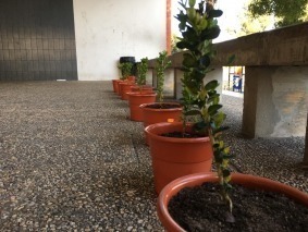 1ciclo02