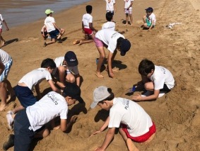 dunas07