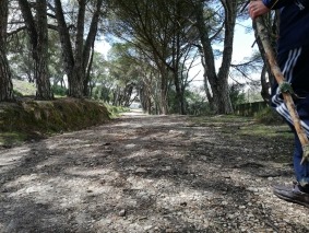 20190405 Tapada de Mafra 6