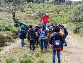 20190405 Tapada de Mafra 16