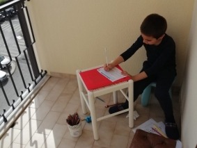 Imagem11
