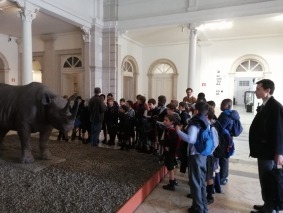 foto (15)