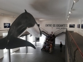foto (16)
