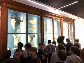 foto (5)