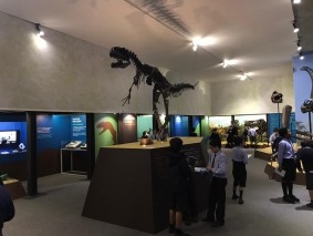foto (12)