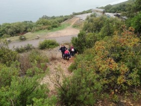 IMG_20191029_110331