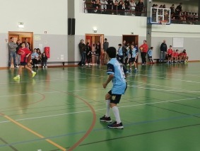 IMG_20191123_110259
