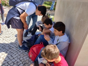 0a5d4f05-4b15-45cd-b434-8d4f74e5c0e8