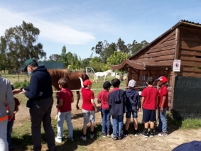 Tambor - 2&ordm; ano 26