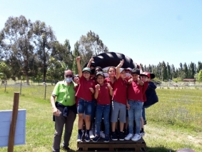 Tambor - 2&ordm; ano 29