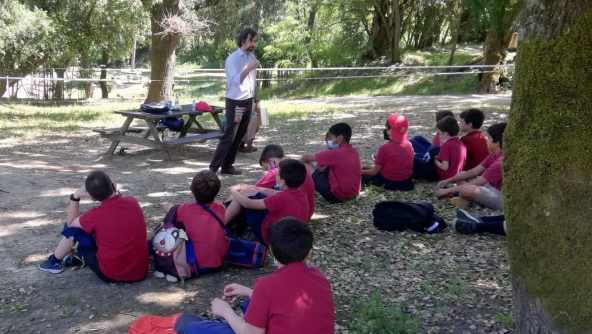 Planalto - A Romaria do 5º Ano