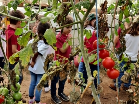 2021 - Infantil  Quinta Pedagógica - 01