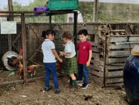 2021 - Infantil  Quinta Pedagógica - 03