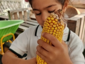 2021 - Infantil  Quinta Pedagógica - 15