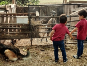 2021 - Infantil  Quinta Pedagógica - 12