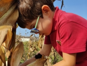 2021 - Infantil  Quinta Pedagógica - 07