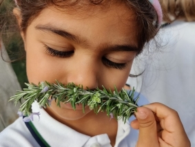 2021 - Infantil  Quinta Pedagógica - 14