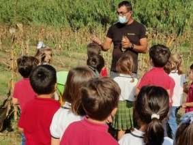 2021 - Infantil  Quinta Pedagógica - 02