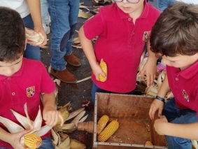 2021 - Infantil  Quinta Pedagógica - 10