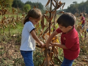 2021 - Infantil  Quinta Pedagógica - 09