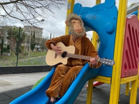 2023 - Macaco rabo cortado 03