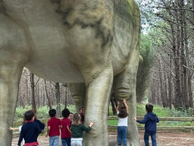 2024 - Infantil - Parque jurássico 5