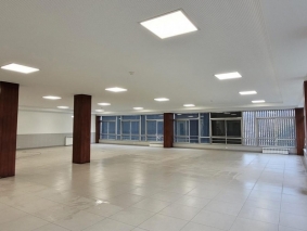 Cedros 11