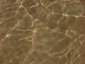 DSC07037