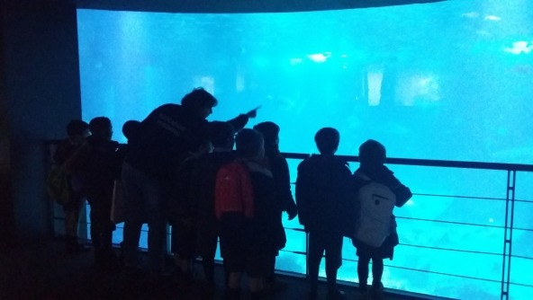 Planalto - Visita ao Oceanário de Lisboa
