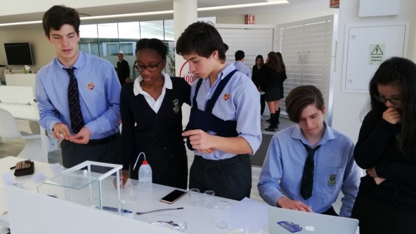 Planalto - Group 4 Project